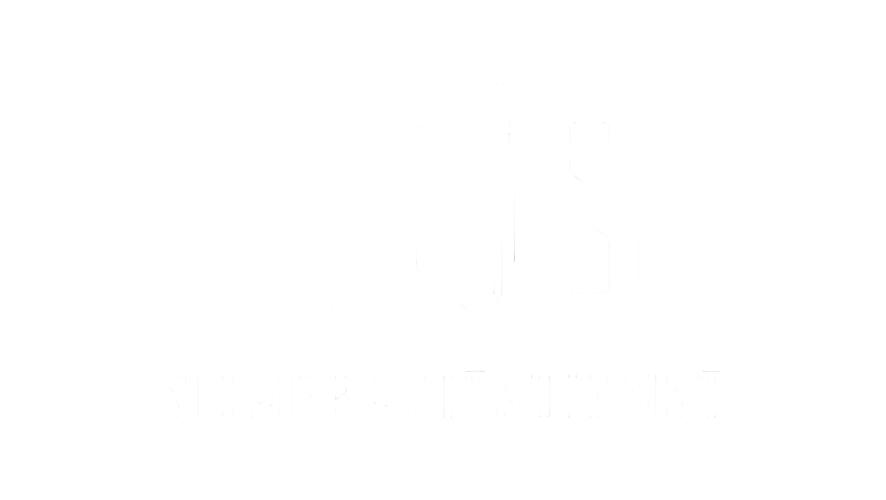 HiSi Sicherheit